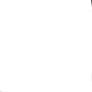directors.jpg
